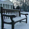 bench.jpg (50237 bytes)