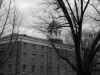 brownhall_grey.jpg (98506 bytes)