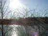 canal_sun.jpg (74458 bytes)