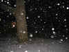 falling_snow2.jpg (70447 bytes)