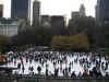 ice_rink.jpg (71276 bytes)