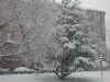moresnow.jpg (493702 bytes)