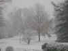 snowstorm.jpg (65646 bytes)