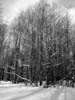 P2070012BW