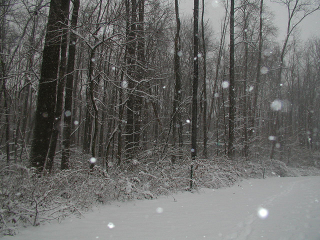 snow21