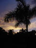 DSC00683