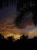 DSC00684