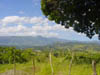 DSC00716