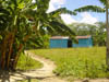 DSC00733