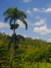DSC00734