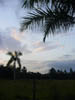 DSC00883