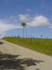 DSC00933