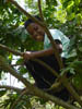 DSC01113